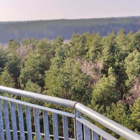 SuderburgWaldhaus Hilde别墅 外观 照片