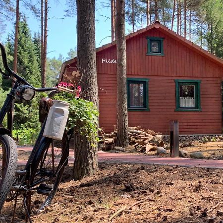 SuderburgWaldhaus Hilde别墅 外观 照片