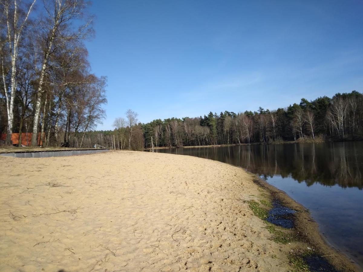 SuderburgWaldhaus Hilde别墅 外观 照片