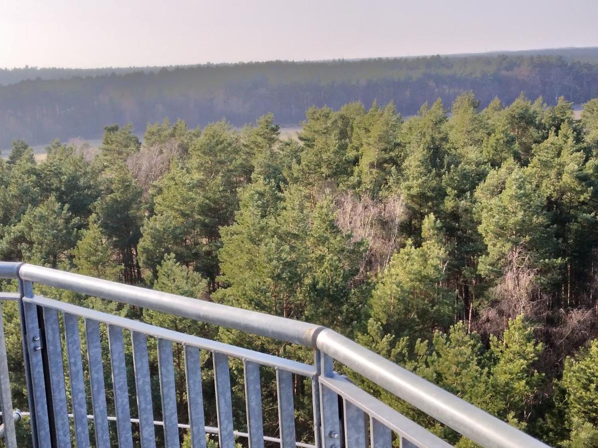 SuderburgWaldhaus Hilde别墅 外观 照片